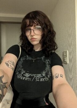 Greylittlerobin Immagine