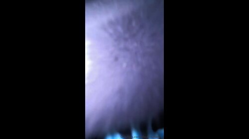 Thumb 19