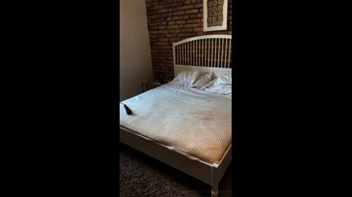 Thumb 12