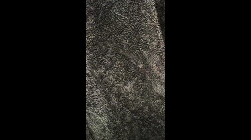 Thumb 27