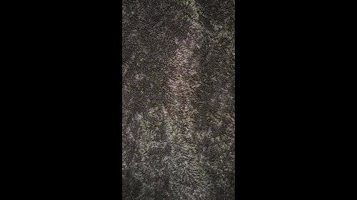 Thumb 28