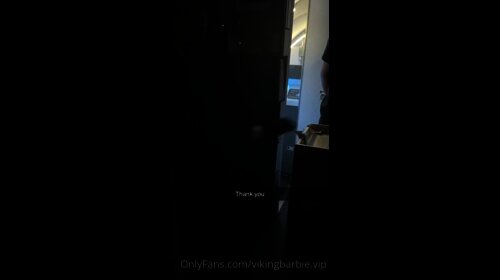 Viking Barbie Masturbates In A Plane Toilet
