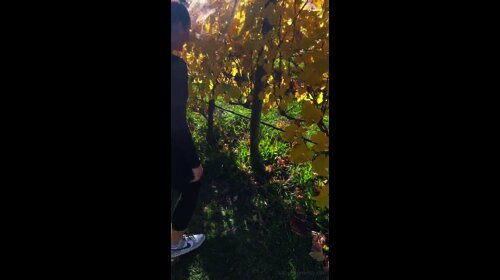 Isabelle Eleanore Outdoor Picnic Sex PPV Video Leaked